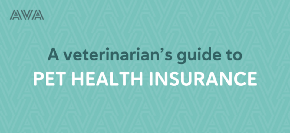 AVA Pet Insurance Guidelines Banner.png