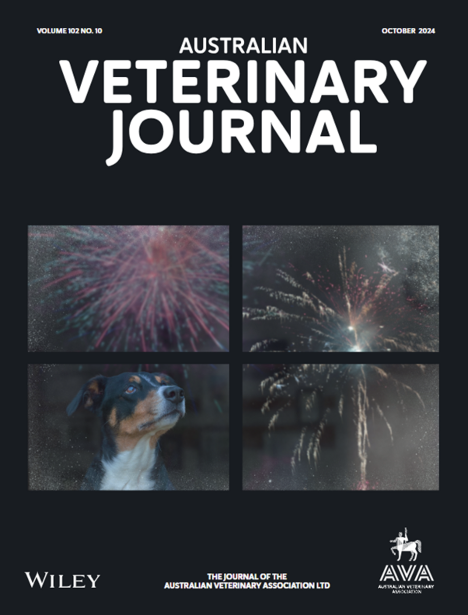 AVJ Oct 2024 Cover image.png AVJ Oct 2024 Cover image.png