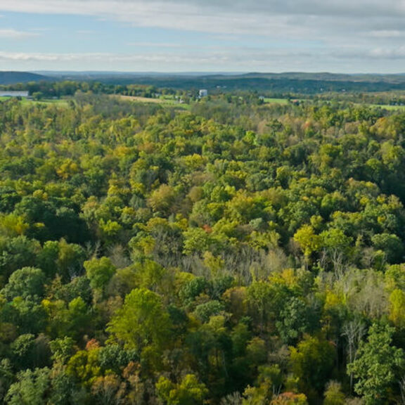 Aerial view of forest in Montgomery, Pennsylvania