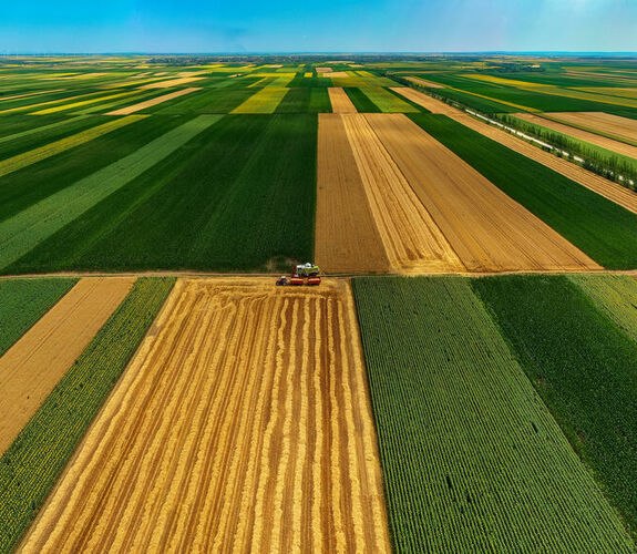 Aerial view of crops being harvested from fields 
