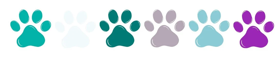BOVA BRAND PAWS