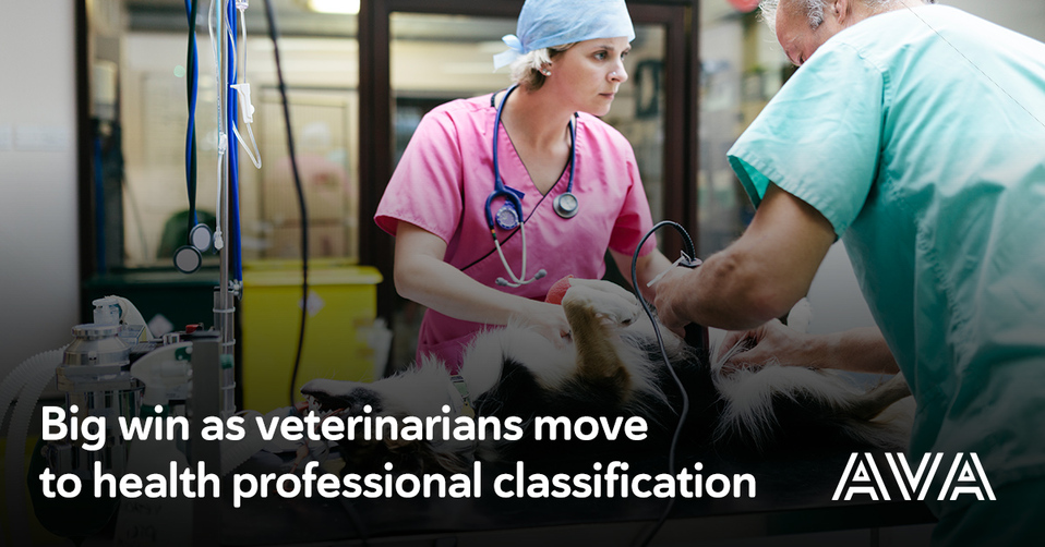 Banner Veterinary Profession OSCA classification