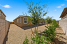 spacious landscaped backyard with rocks, trees, and bushes.