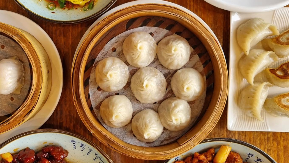 Block 7 Dumplings