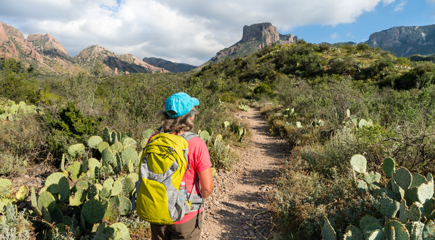 Hiking Big Bend