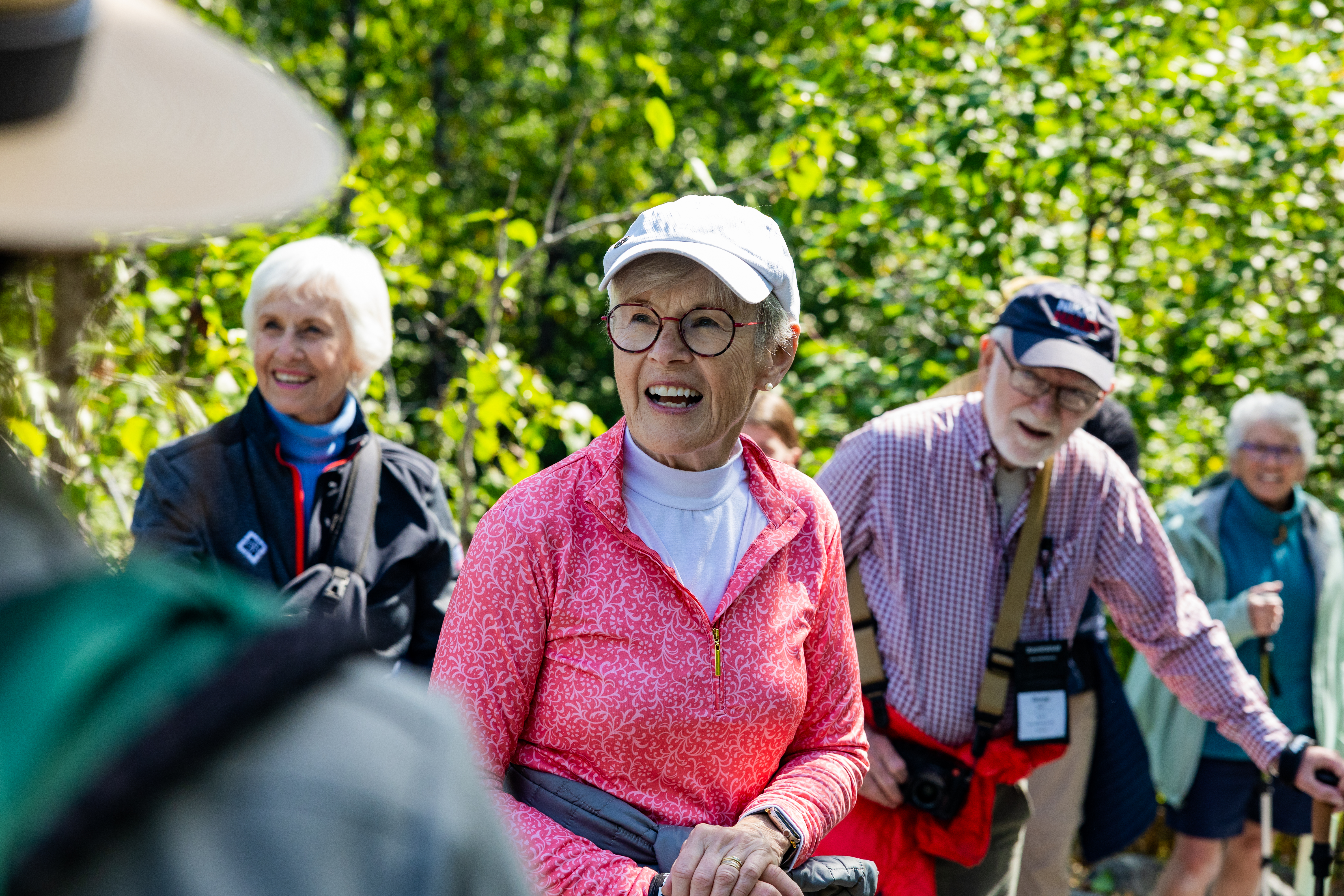 A group of senior hikers in the woods