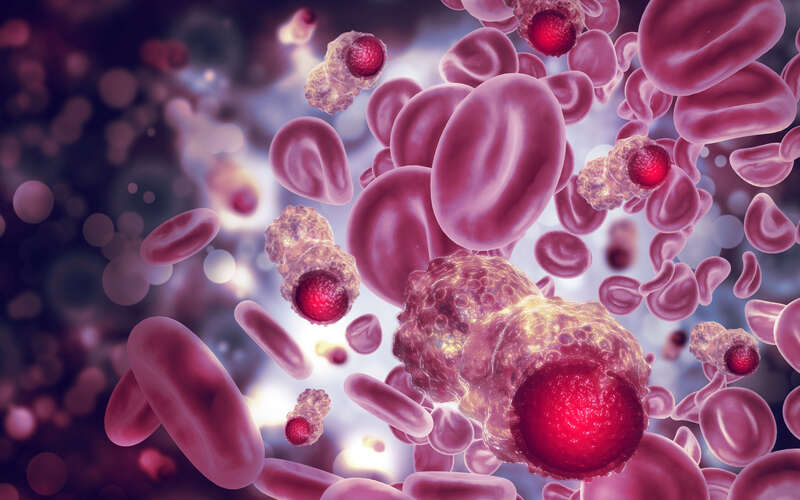 graphic of cancer and blood cells