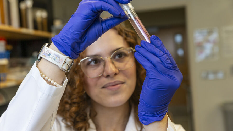A researcher looks at a test tube
