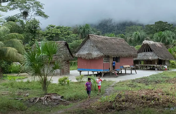2 children walking on a trail leading from a village in jungle like setting