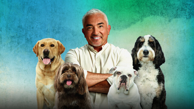 Cesar Milan Human Better Dog.jpg