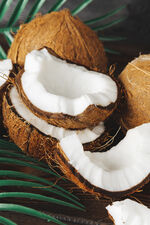 Cracked coconut pieces on dark wooden background