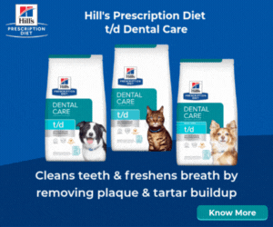 DK - Hill-s td MREC 600X500_August 2025