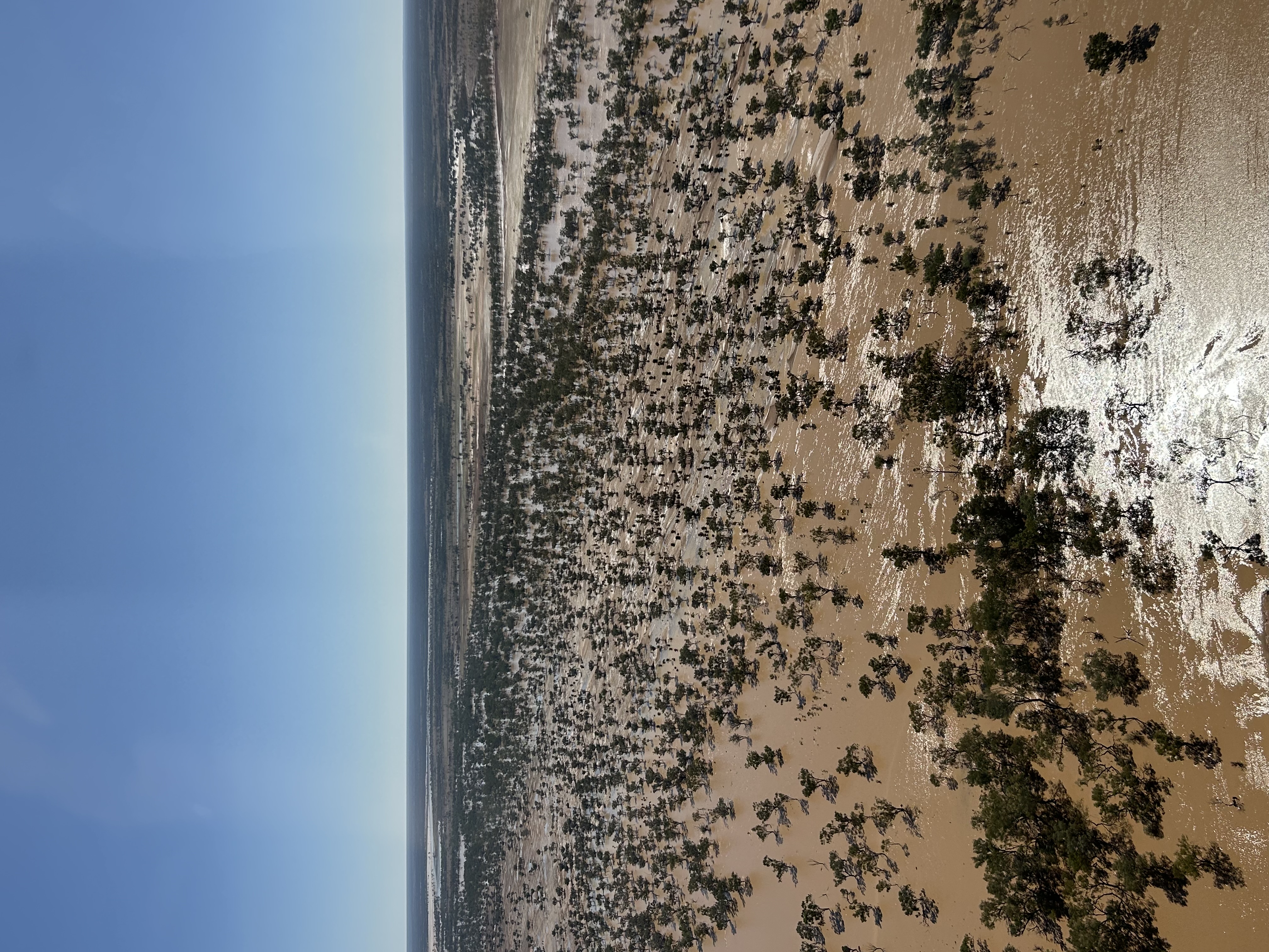 Dr Stacey Rae QLD floods 2025