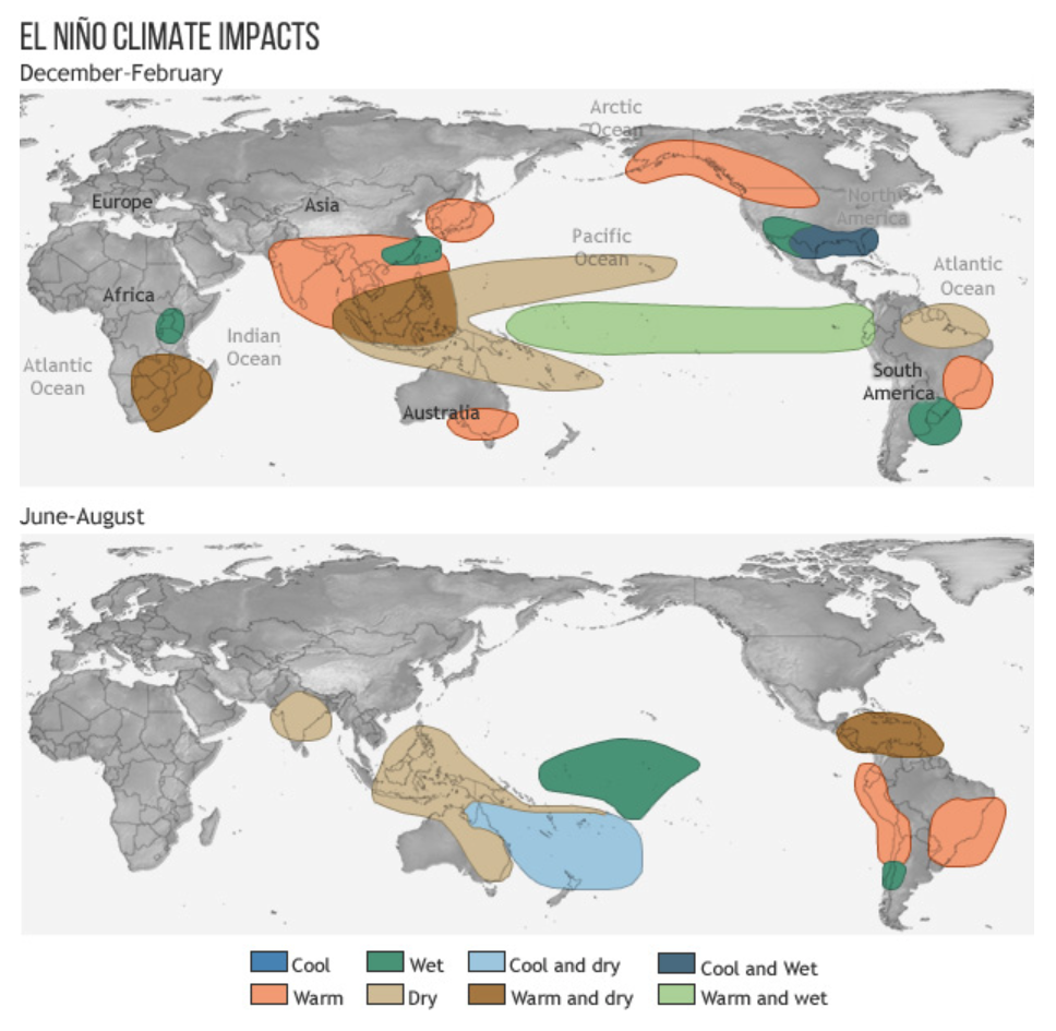 The effects of El Nino on procurement and supply chains