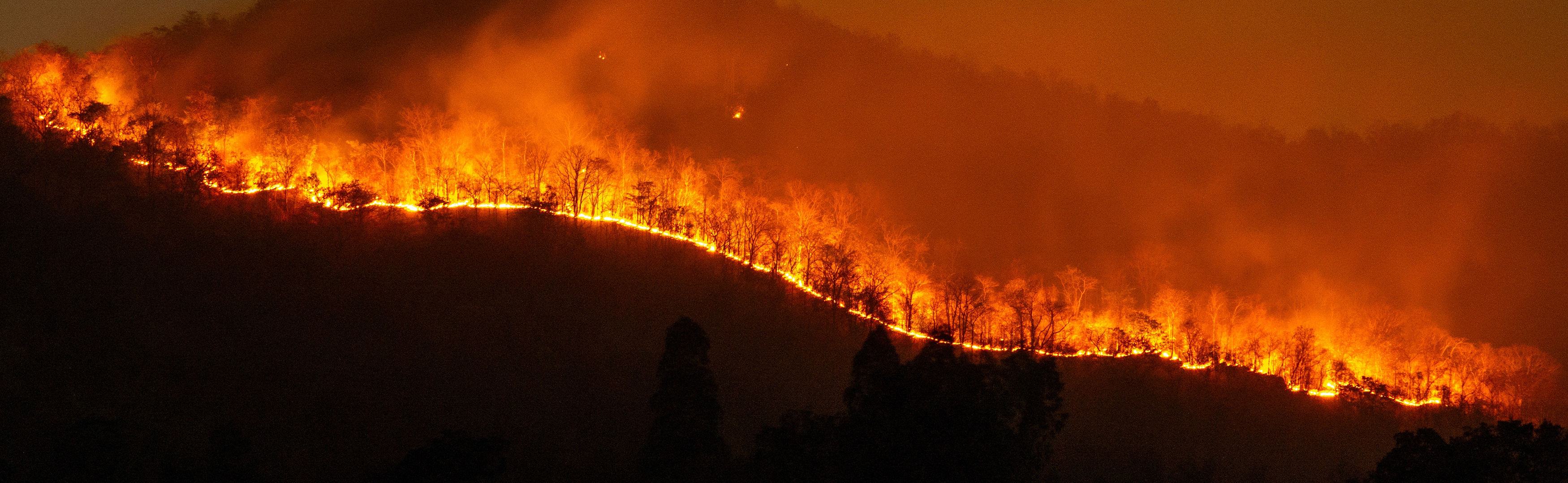 The effects of El Nino on procurement and supply chains