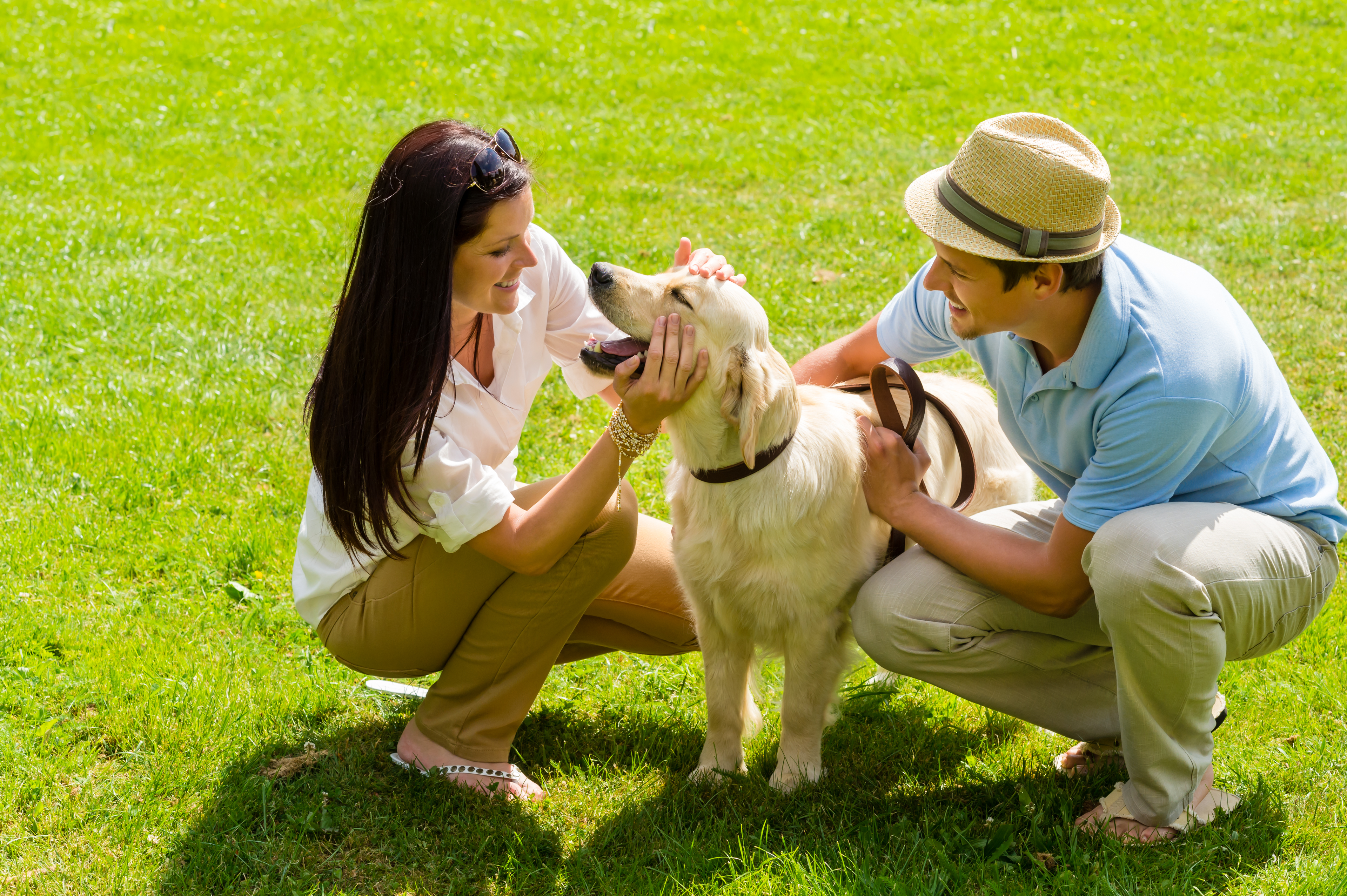 Future Community Dog Park