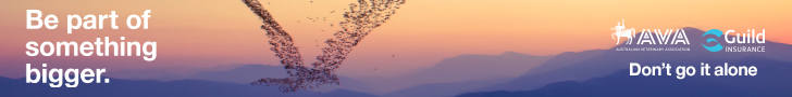 GUILD VET295049_AVA_National_Website_leaderboard_banner_022023_WEB_ART_1.jpg