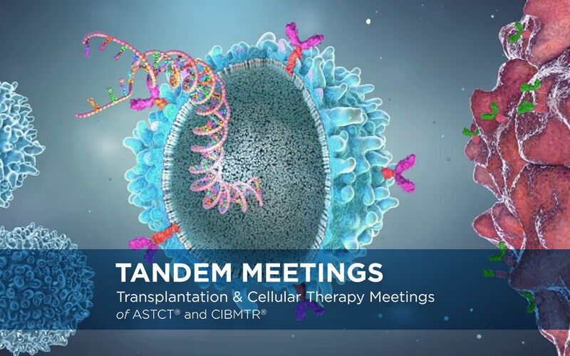 Image of cancer cells and immunotherapy attacking them