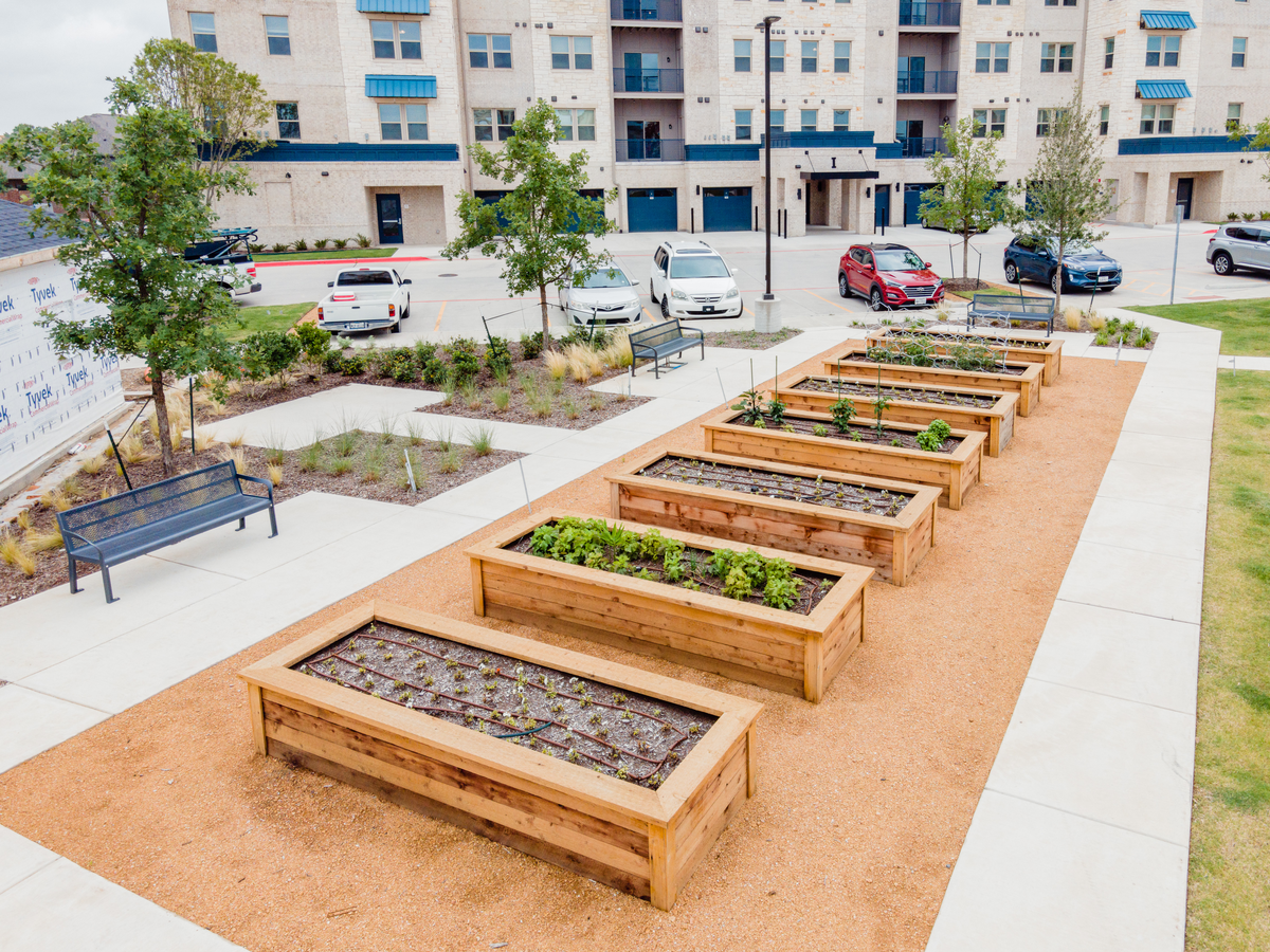 community garden with garden boxes