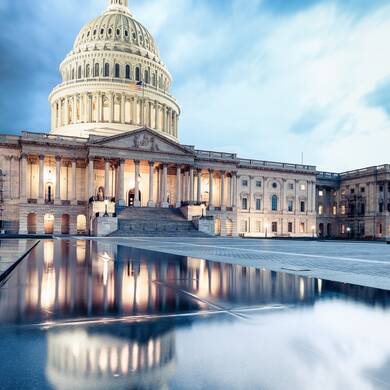 Government Contractor Consulting Services Industry