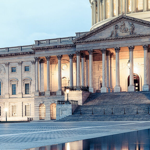 Government Contractor Consulting Services Industry