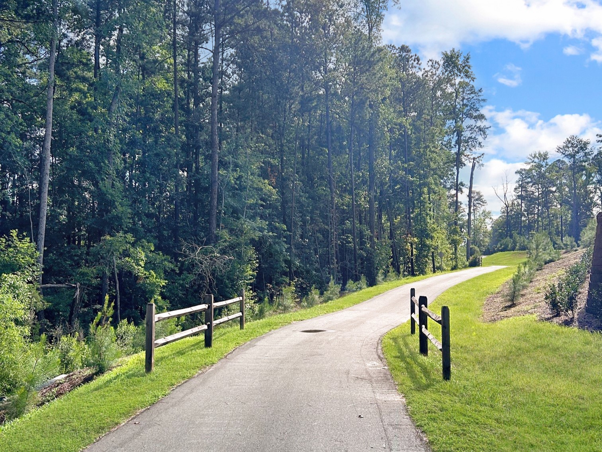 walking path with green trees and clear blue skies