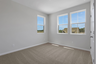 bedroom with windows and carpet