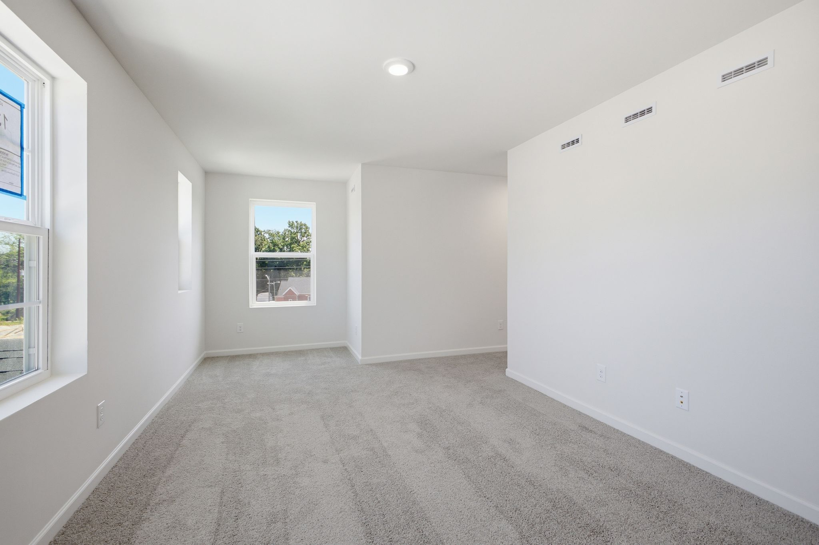 primary bedroom with carpet, large windows, and a walk in closet