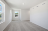 primary bedroom with carpet, large windows, and a walk in closet