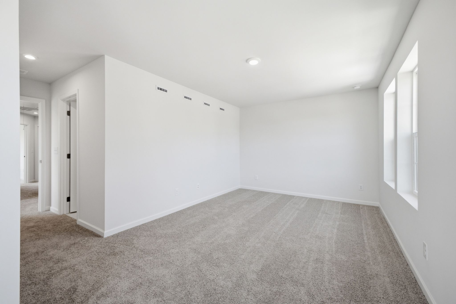 primary bedroom with carpet, large windows, and a walk in closet
