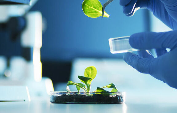 Healthcare Lifesciences Biotechnology Plant Examination Chemistry