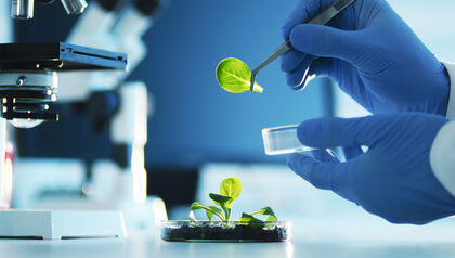 Healthcare Lifesciences Biotechnology Plant Examination Chemistry