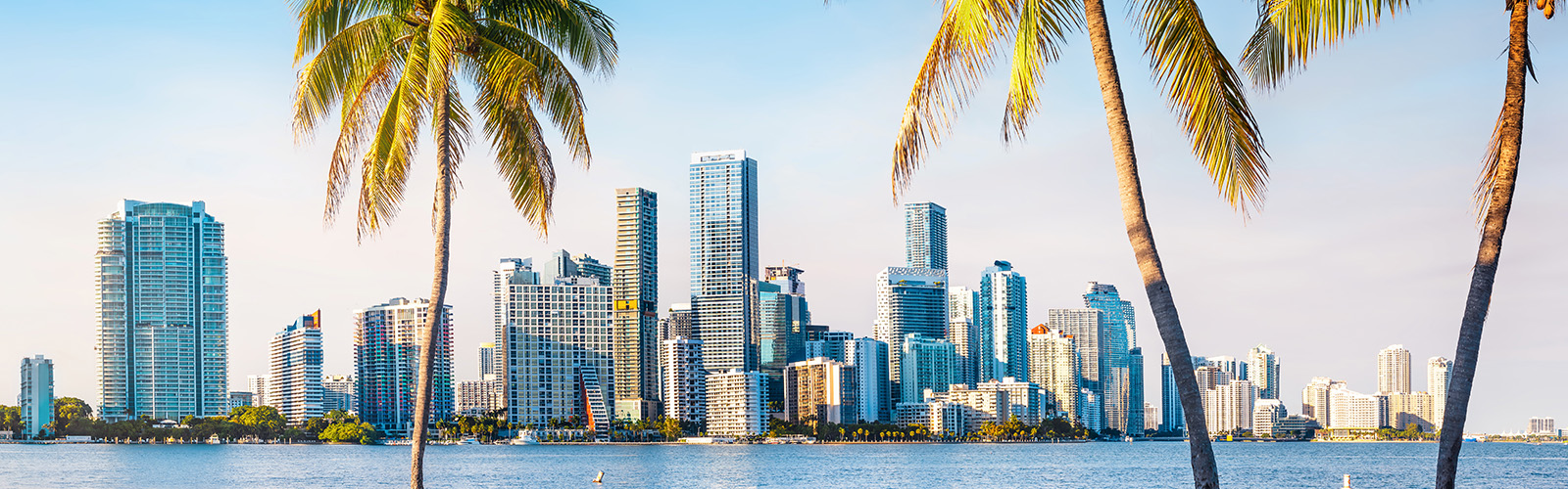 A view of a Florida skyline