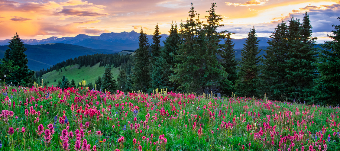 An image of the terrain in Colorado