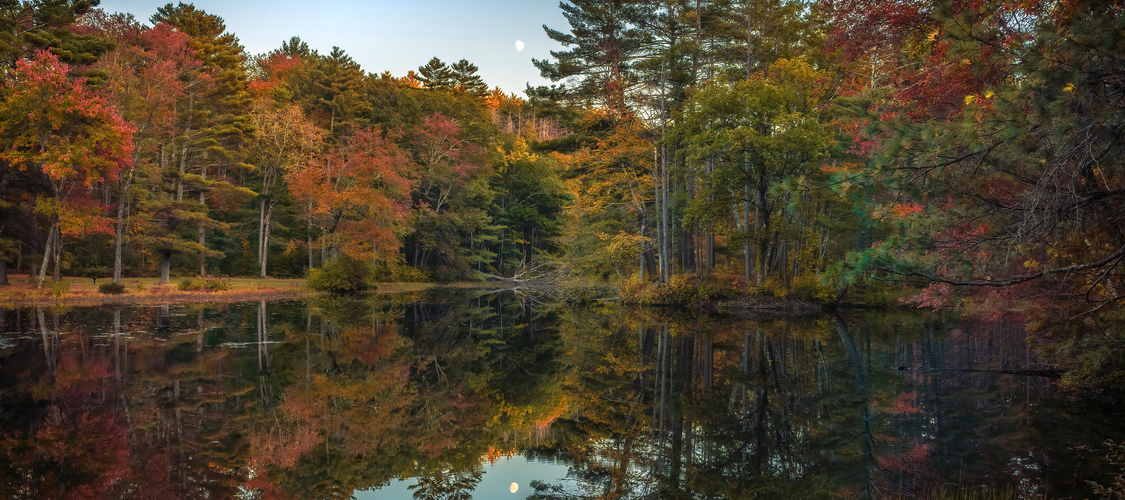 An image of the terrain in Massachusetts