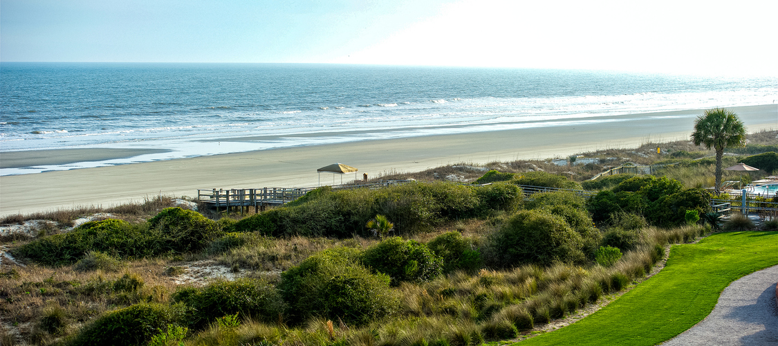 An image of the terrain in South Carolina