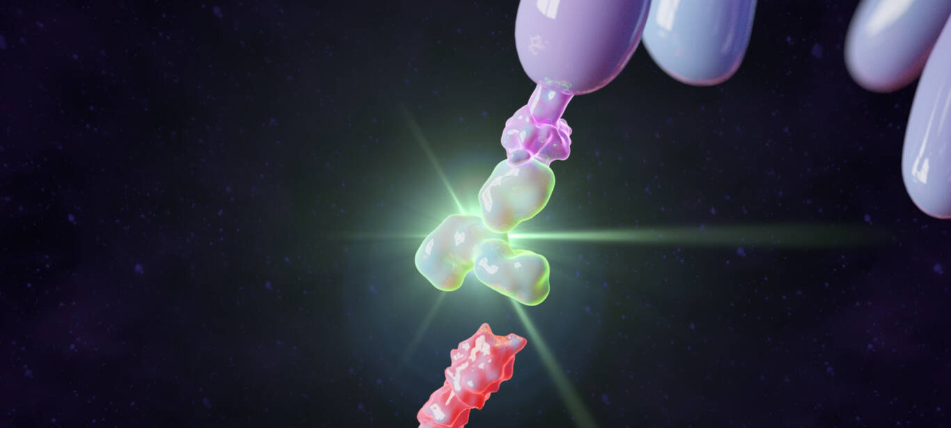 PD-1 Antibody Targeting Immune Checkpoint Inhibitor