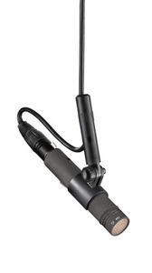 KK_183_+_KM_Ax1_desktop_MNV21mt-KM184Anx-1_Neumann_G