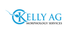 kim kelly