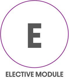 Roundel with text 'Elective module'