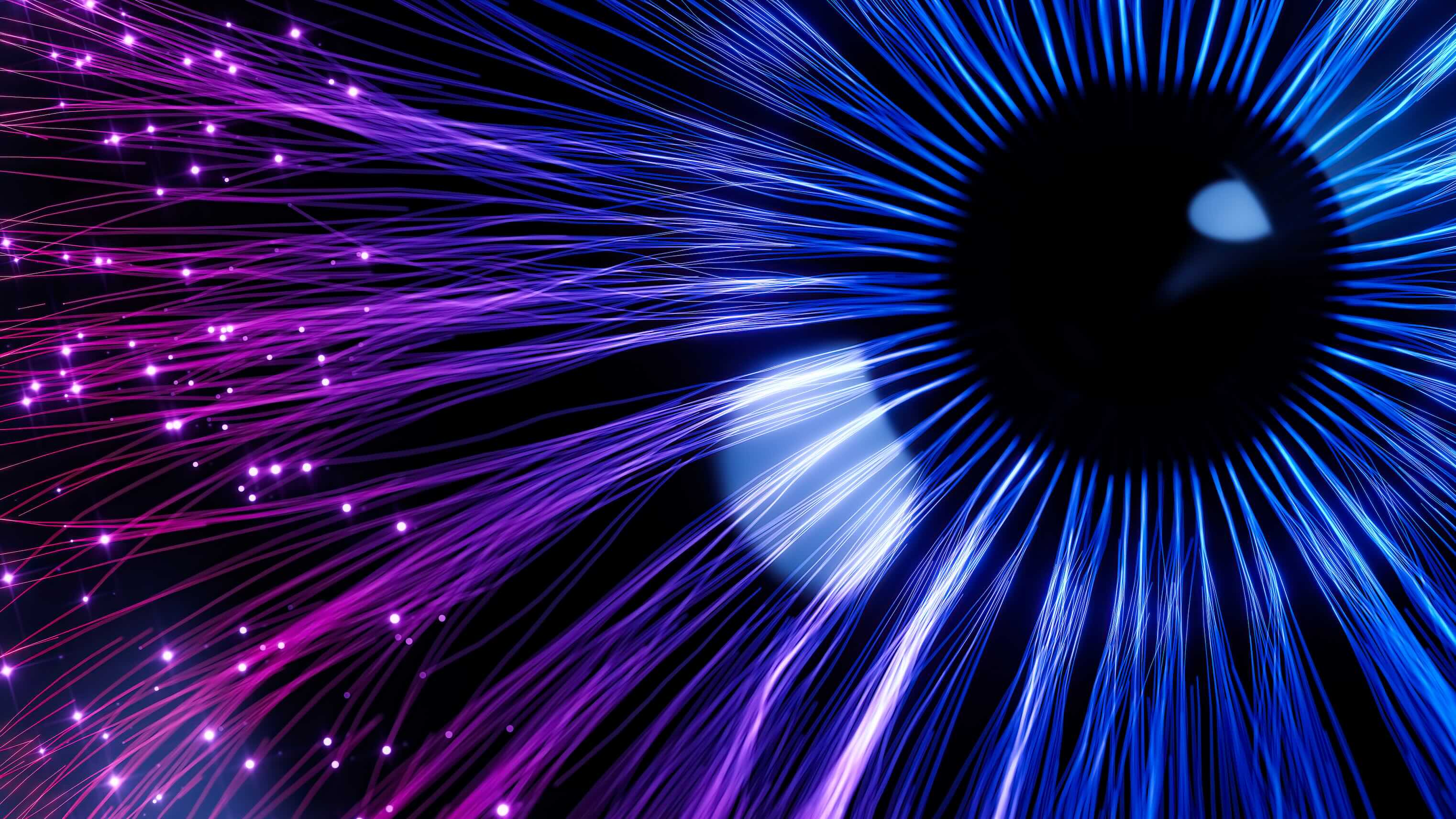 Abstract image of multicolored lines.