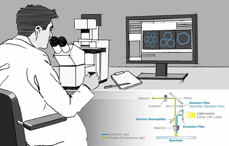 Fluorescence Spectroscopy