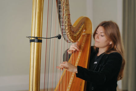 MC_5x1_desktop_MC-5-Harp-A1_Neumann-Miniature-Clip-Mic-System_G