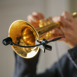 U_77U-77-1_Neumann-Studio-Microphone_H