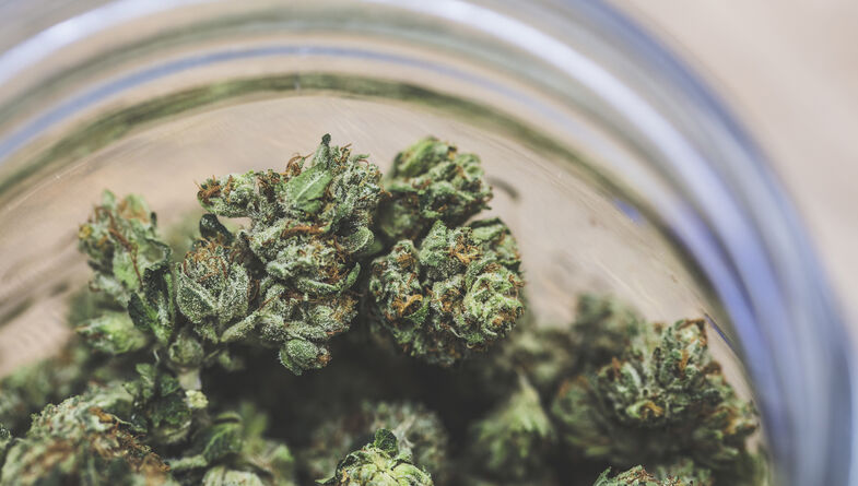 Up close of medical marijuana in glass jar
