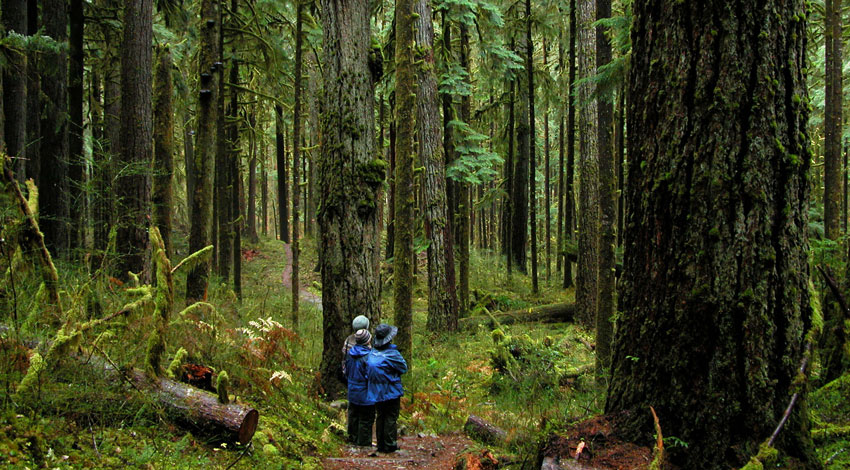 Olympic National Park