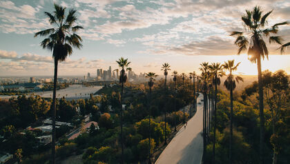 Palm tree-lined road at sunset in Los Angeles
