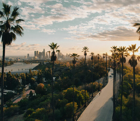 Palm tree-lined road at sunset in Los Angeles