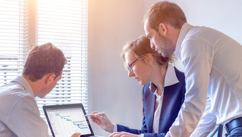 Project manager collaboration team