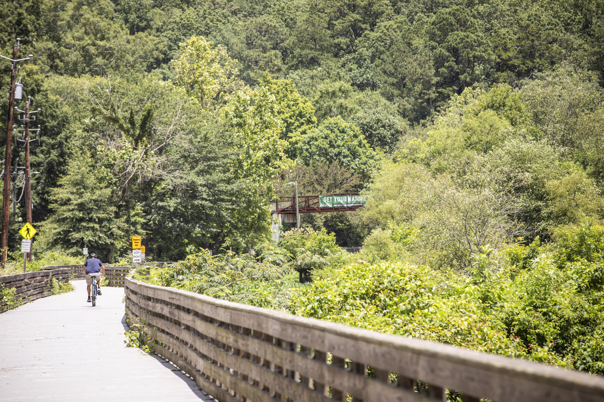 man on bike cycling down the path with tress